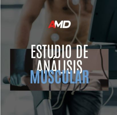 ANALISIS MUSCULAR