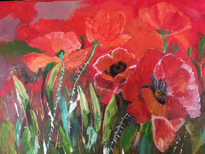Wild About Poppies