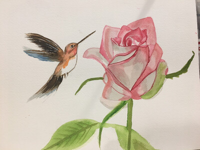 Hummingbird And Rose