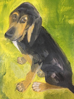 Bloodhound