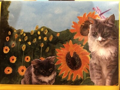 Cat & Sunflower