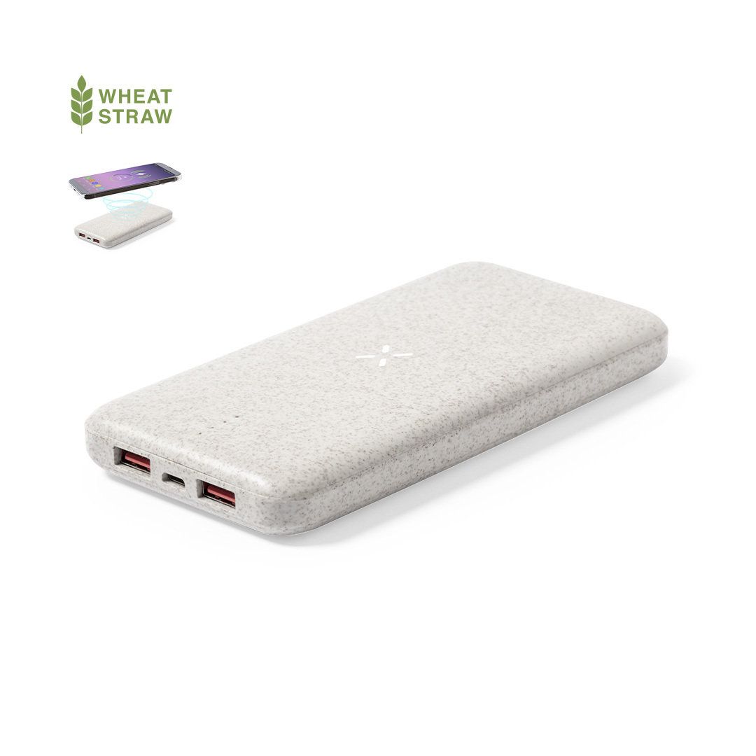 PowerBank