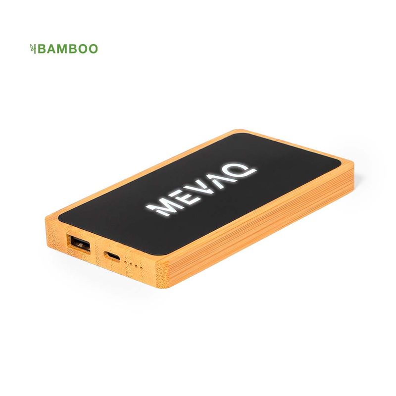 PowerBank