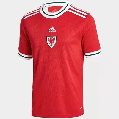 Wales Home Soccer Jersey 22/23