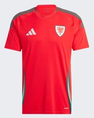 2024 Euro Cup Wales Home Jersey