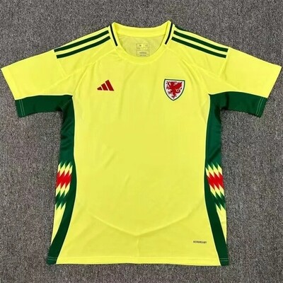 Wales Away Euro Cup Soccer Jersey 2024