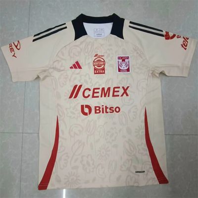 24-25 Tigres UANL Third Away Jersey