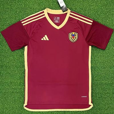 Venezuela Home Soccer Jersey 24/25