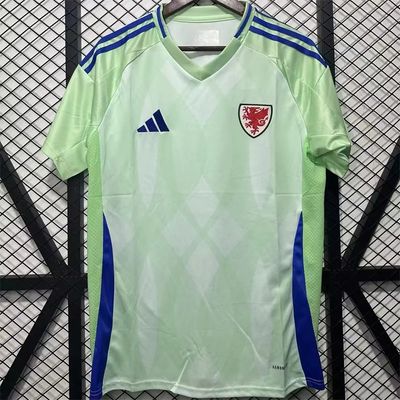 25/26 Wales Away  soccer Jersey