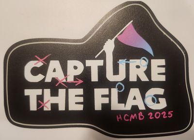 2025 Capture the Flag Stickers (Black &amp; White)