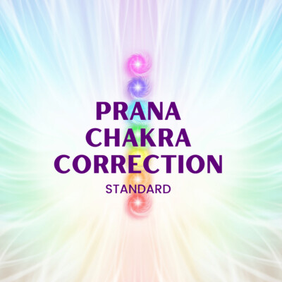 Chakra Correcting/Opening : Remote Session by Debbie (STANDARD)