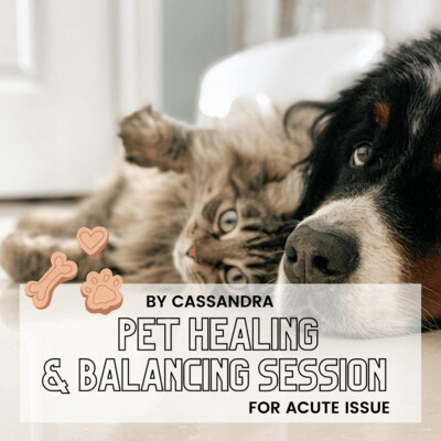 Pet Healing & Balancing Session by Cassandra (Single Session)