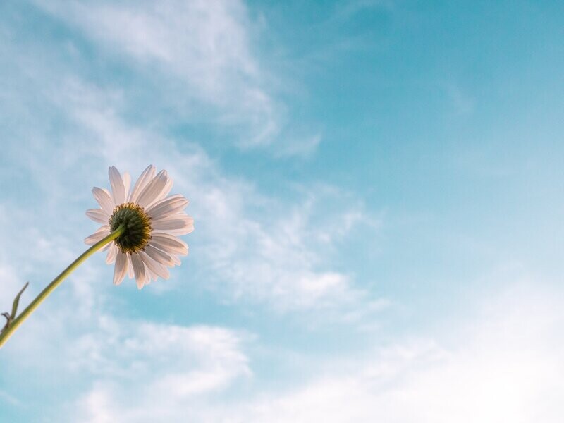 1 hr RECORDING: Group Healing  Session w/ Debbie from July 26th : A Benefit for Mason