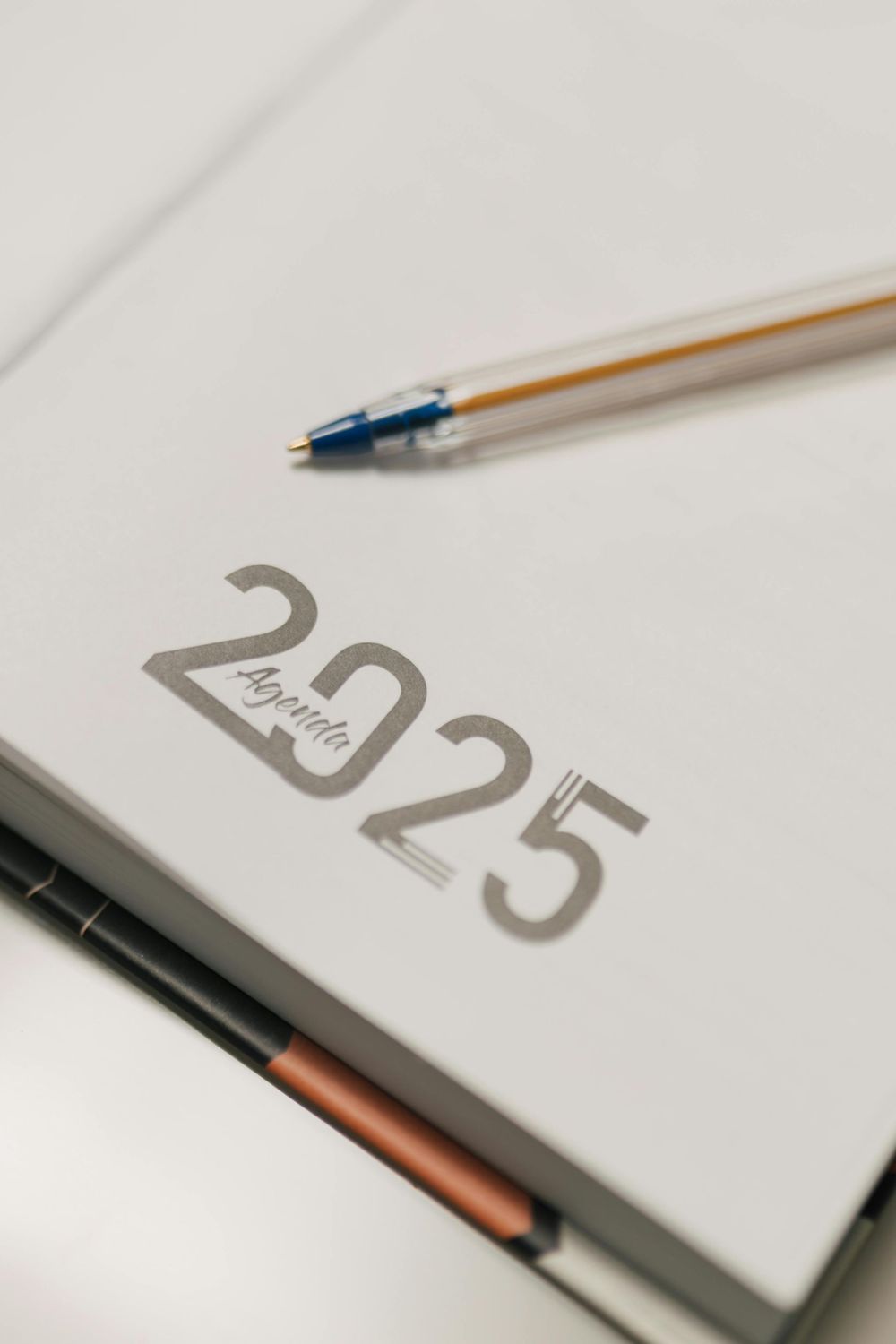 Session Recording: MANIFEST 2025: New Years Day Group Healing/Clearing with Debbie (1 hour 23 minutes in length)