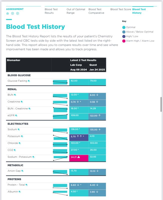 Custom In-Depth Functional Blood Chemistry Analysis Report & Insights by Carina Jade Hart