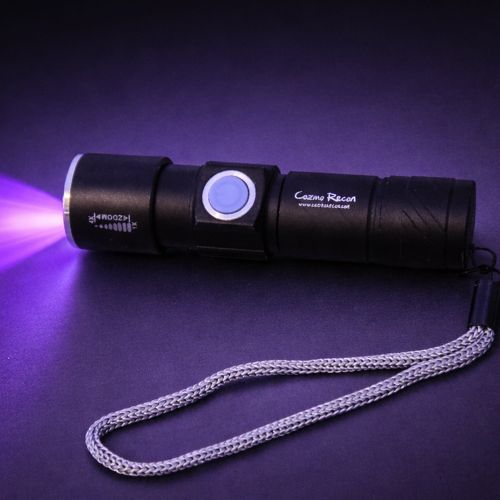 UV Flashlight