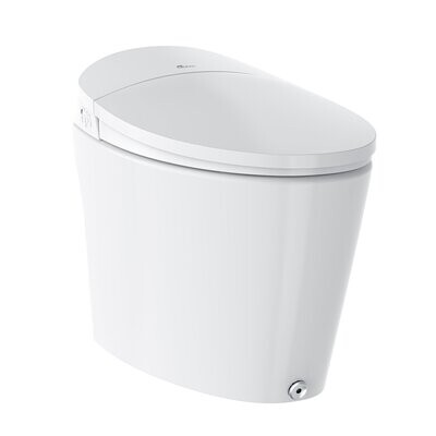 Bidet toilet