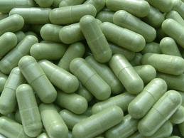 Wholesale Soursop &quot;Graviola&quot; 1000 Capsules 500mg