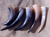 Drinking Horns