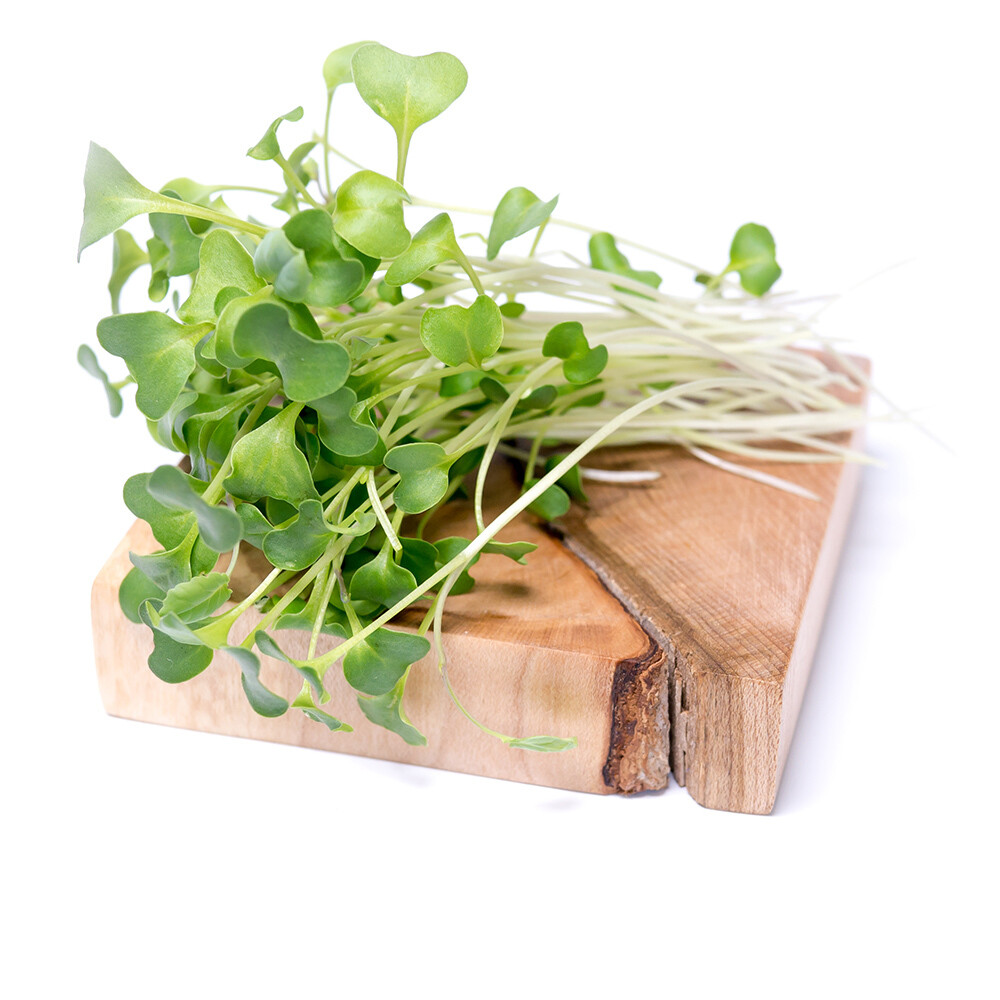 Brocoli / 35Gr