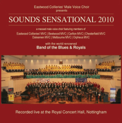 Sounds Sensational 2010
