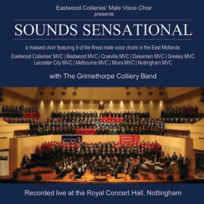 Sounds Sensational 2008