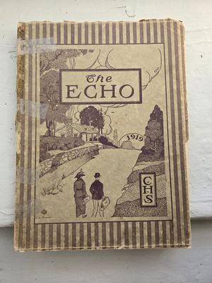 1919 Echo - Chambersburg High School Yearbook 