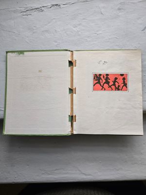 Bobbsey Twins Book