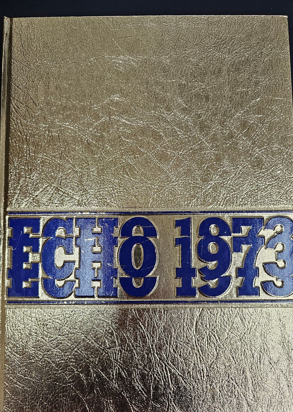 1973 CASHS Echo Yearbook