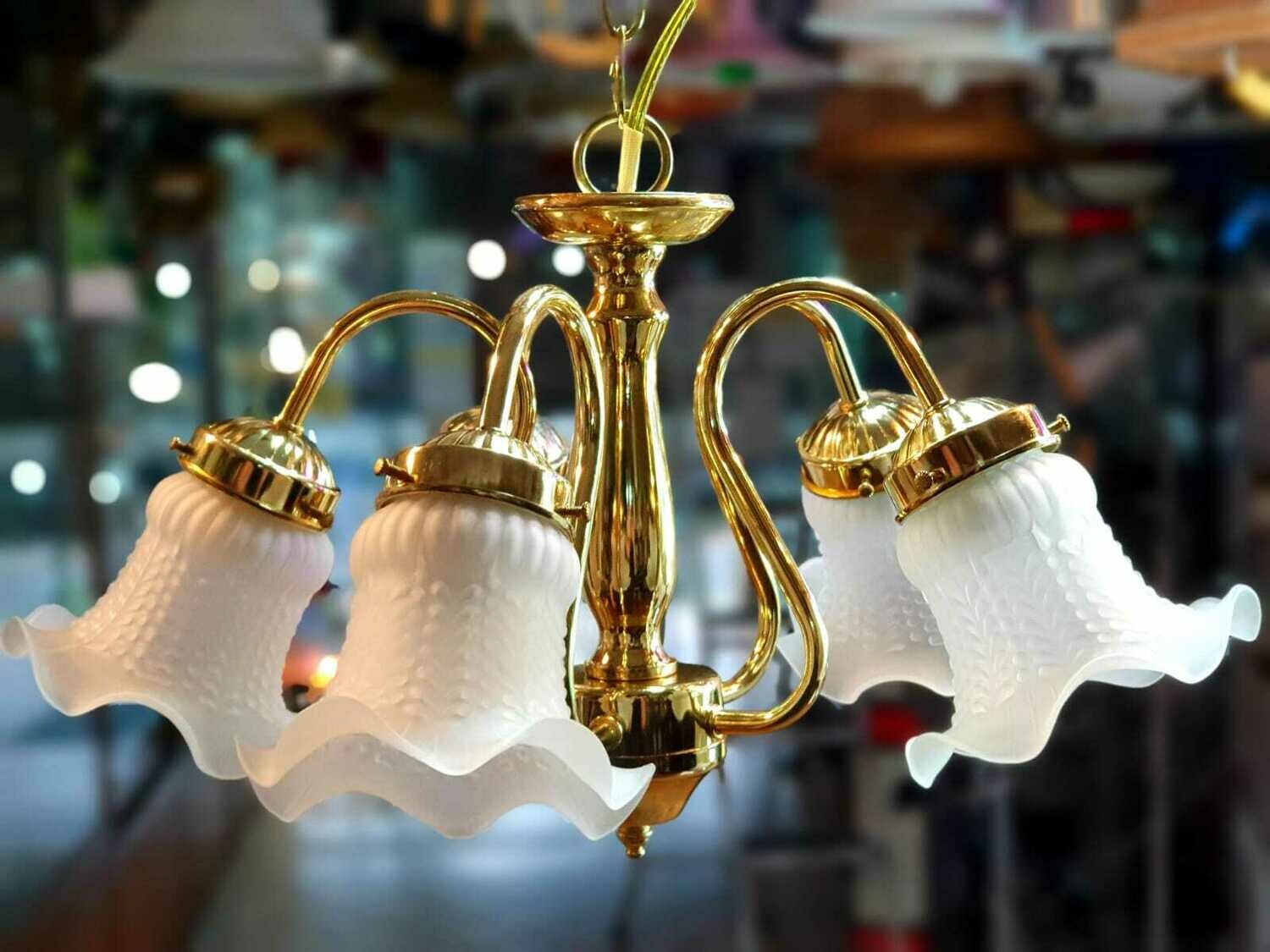 Colgante Araña Cuerpo Metal y Vidrio 5 Luces + 5 LED de REGALO