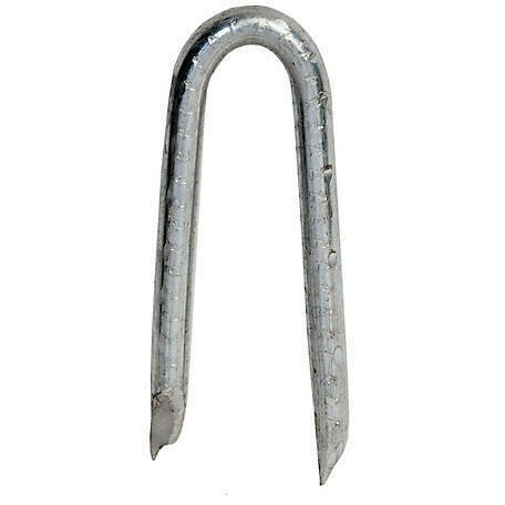 POULTRY-FENCE STAPLES