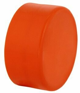 2" ABS Poly Test Cap