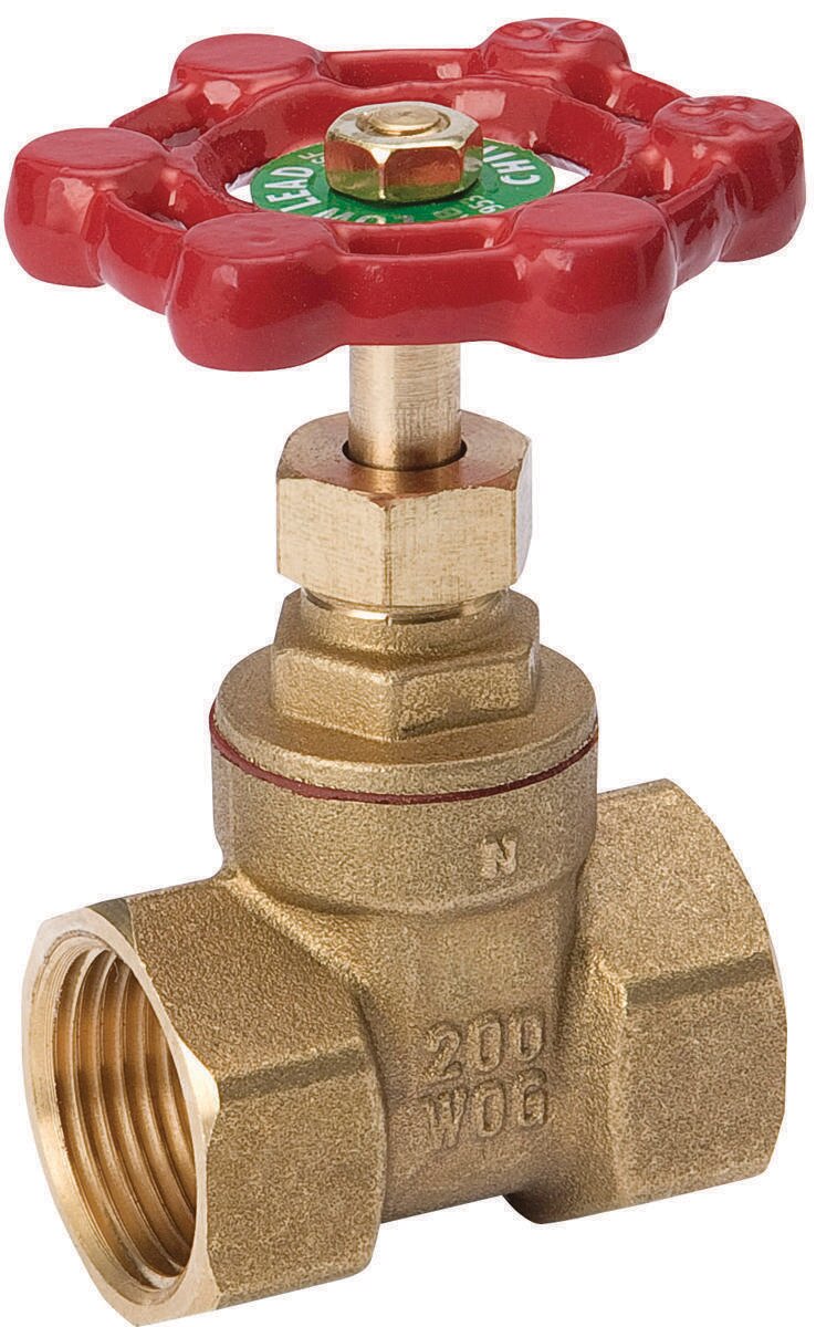 1/2" FIP Gate Valve