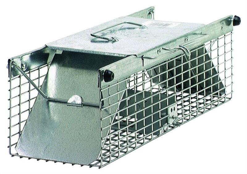 LIVE TRAP SMALL SQUIRREL