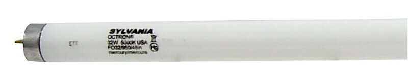 32W T8 48" FS FLUORESCENT 2PK