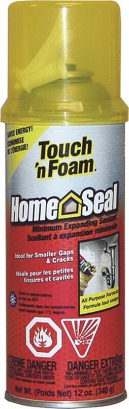 TOUCH N FOAM MIN EXPNSION 340G
