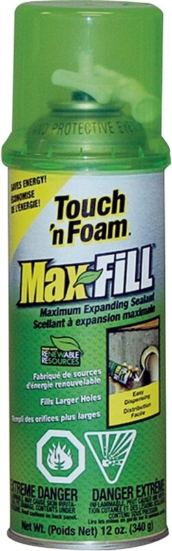TOUCH N' FOAM 12OZ