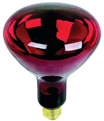 250W HEAT LAMP RED