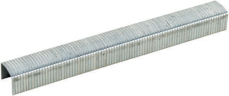 1/4" STAPLES 6M