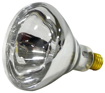 250W HEAT LAMP CLEAR