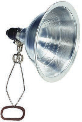 8" CLAMP LAMP LIGHT W 6' CORD