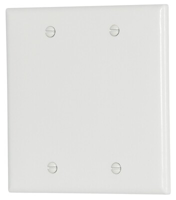 DOUBLE BLANK PLATE WHITE