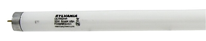 32W T8 48" FS FLUORESCENT 2PK