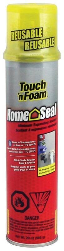 TOUCH N FOAM MIN EXPNSION 566G