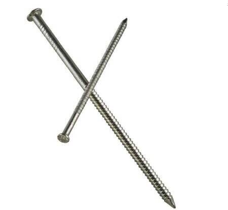 T8SND5 2-1/2" Stainless Steel Wood Siding Nail