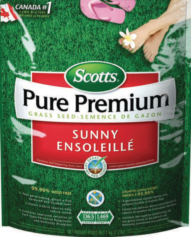 PURE PREMIUM SEED SUNNY 1KG