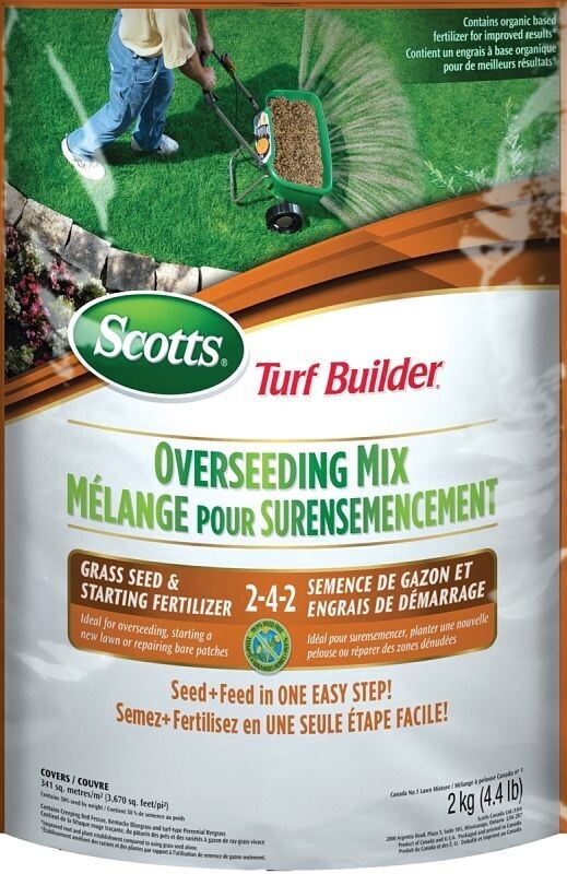 TURF BUILDER SEED OVERSEED