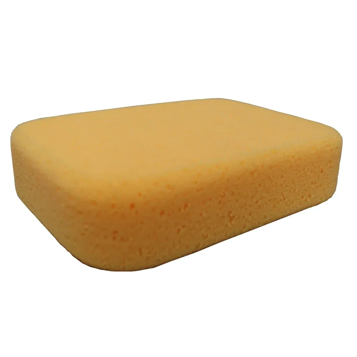 HYDRA-SCRUB SPONGE