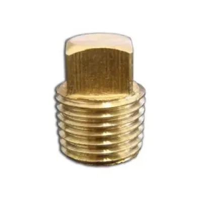 1/4" Brass Plug