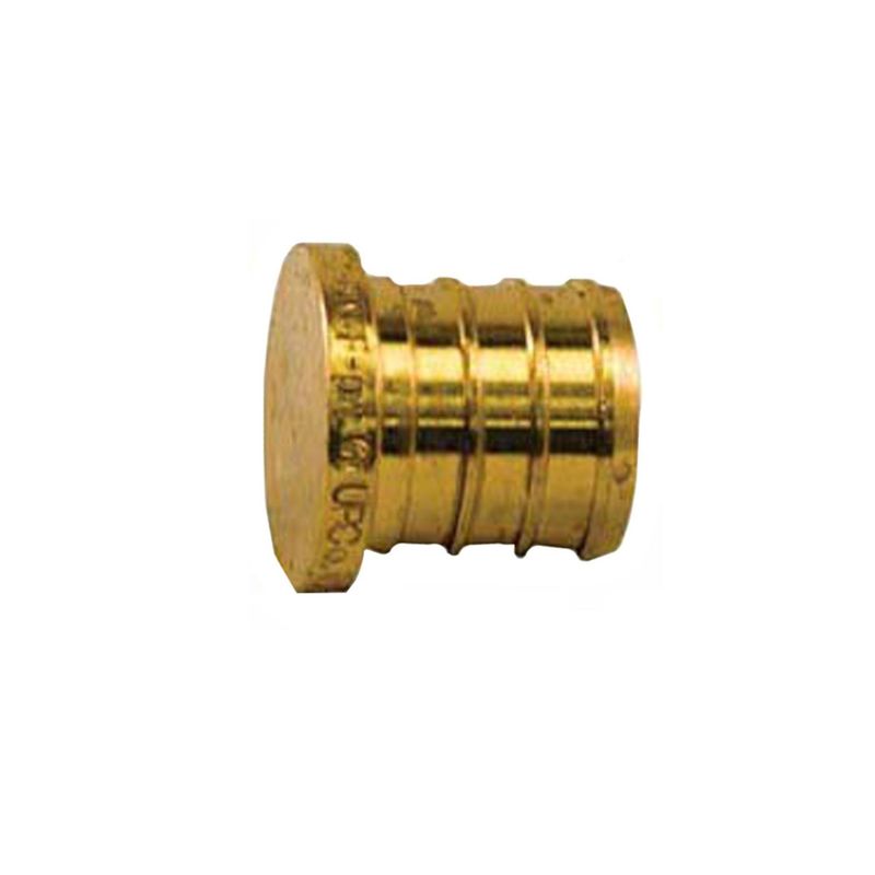 1/2 inch PEX plug fitting.